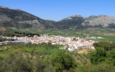 Foto de Lagar de Olmedo en Alfarnate, Málaga