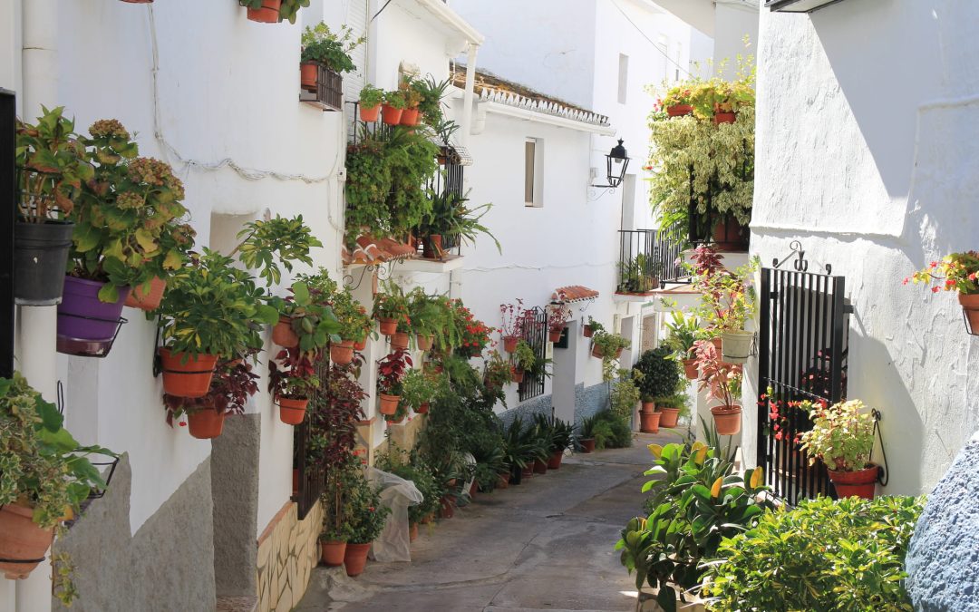 Canillas de Aceituno