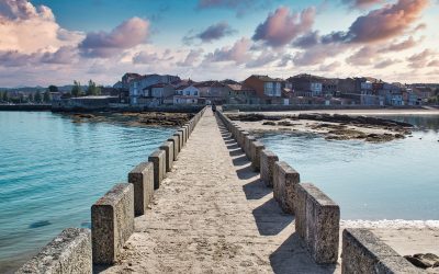 Qué comer y beber en Cambados: Gastronomía y Vinos en el Pueblo Mágico de Galicia
