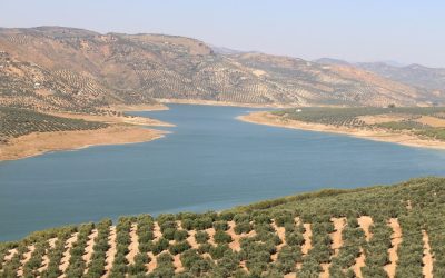 El Embalse de Iznájar: En el corazón de Andalucía