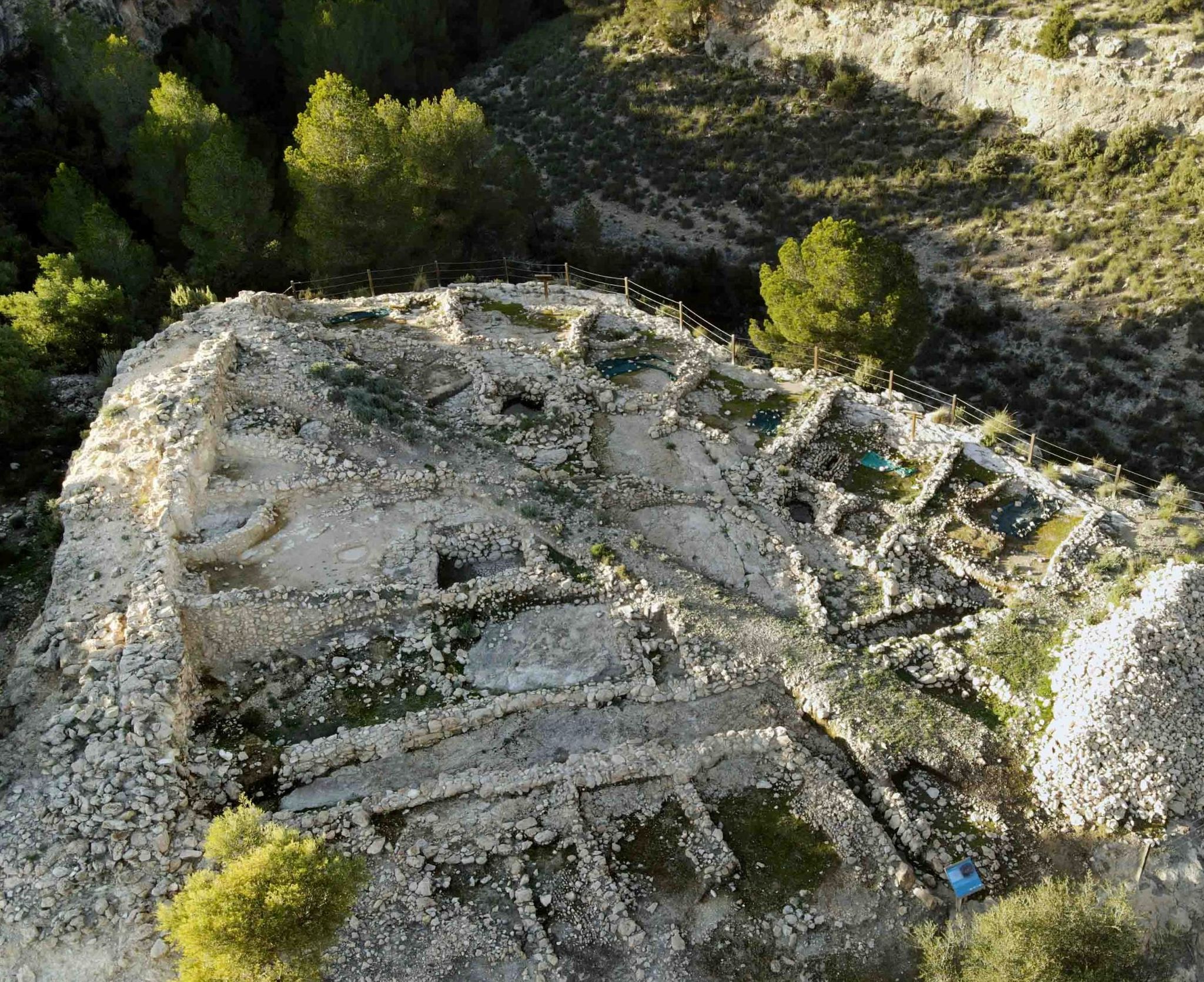 ALTET DE PALAU font de la figuera