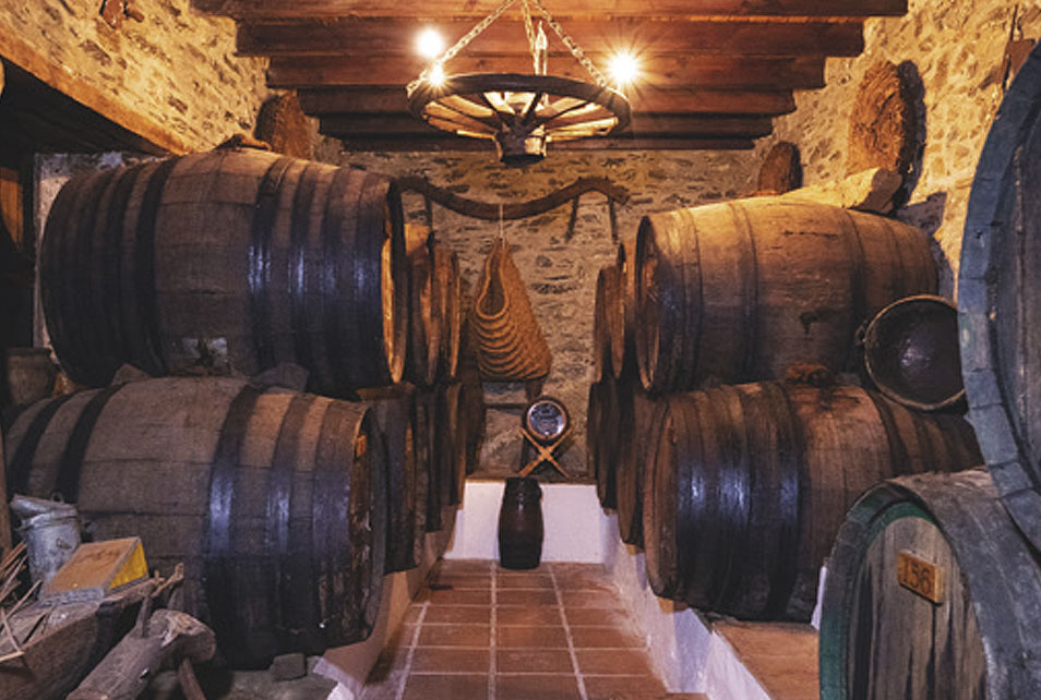 Bodega Antonio Muñoz Cabrera Moclinejo (Malaga)<br />
