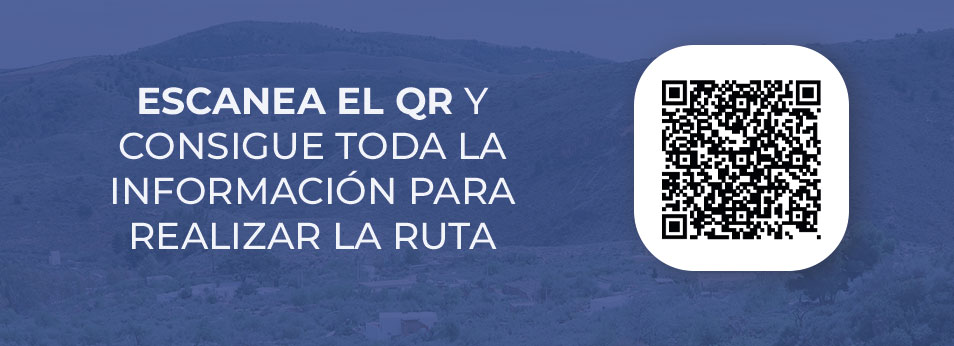 qr-ruta-enix
