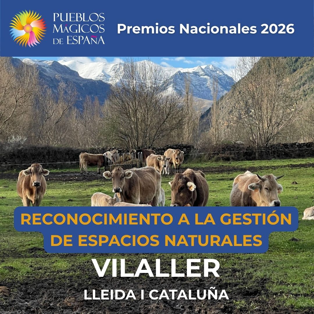 vilaller premios