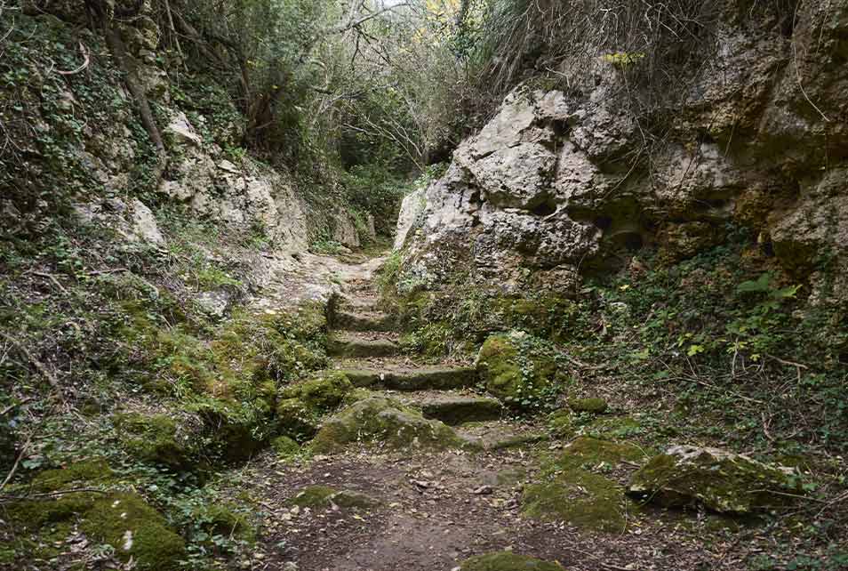 Patrimonio natural de Ferreries<br />
