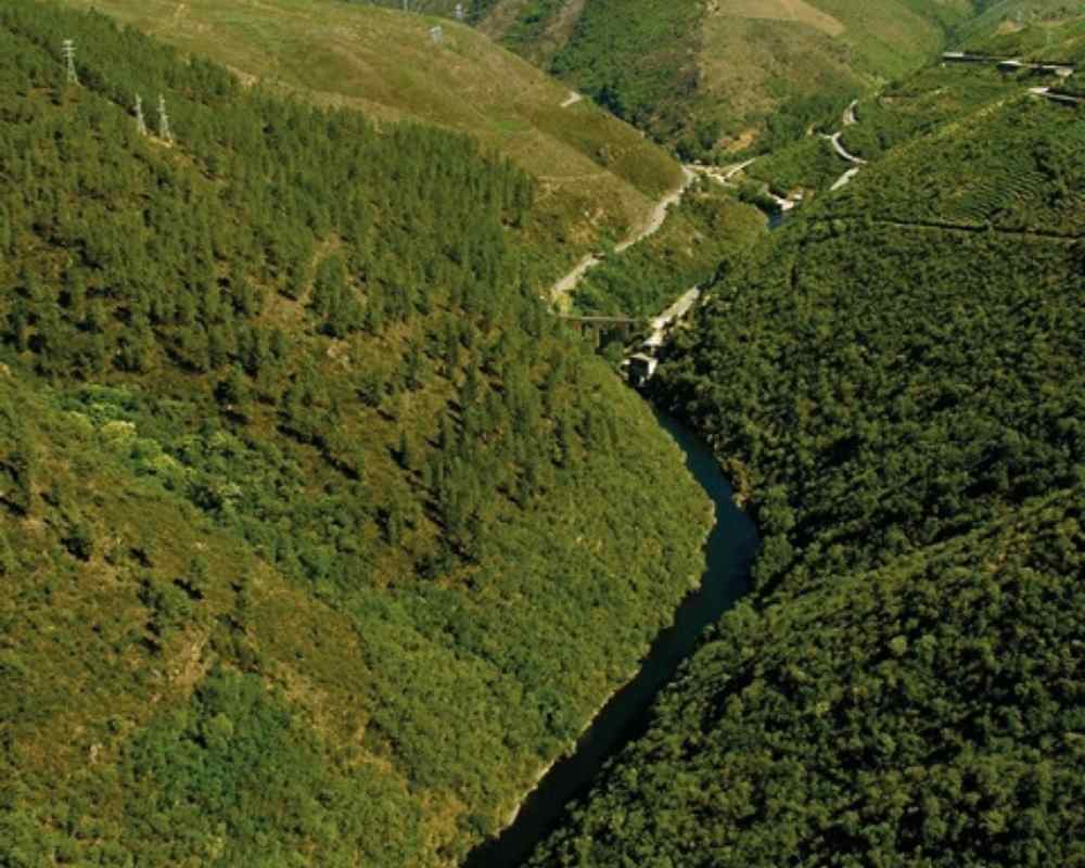 Codos de Larouco, Ourense