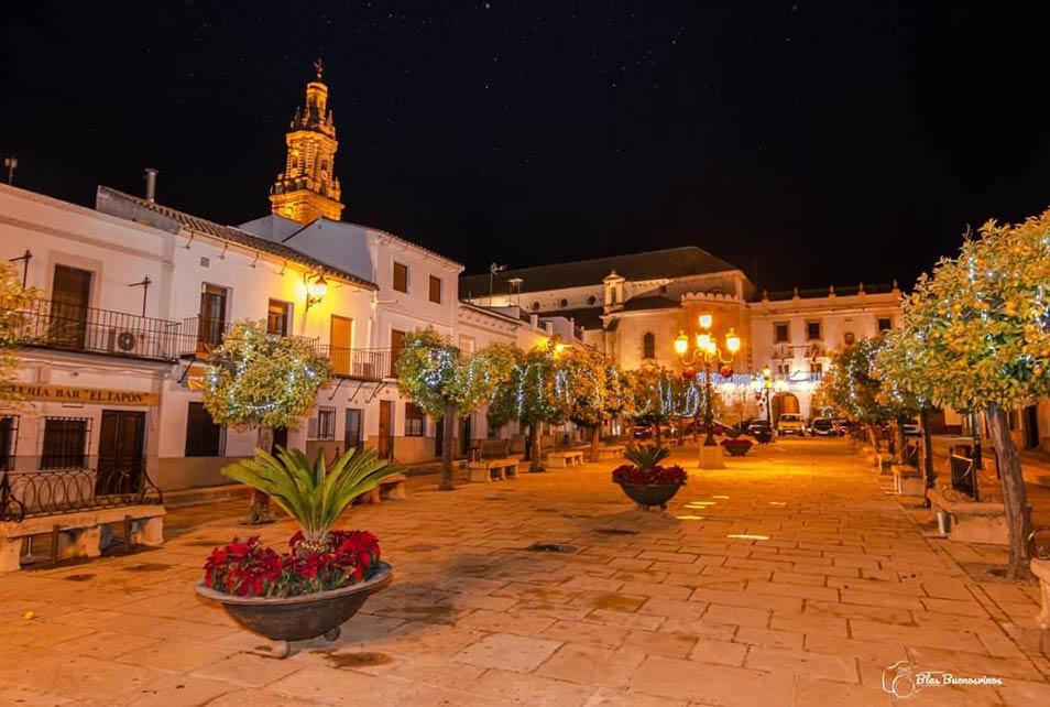 Plaza Mayor de Bujalance de noche iluminada<br />
