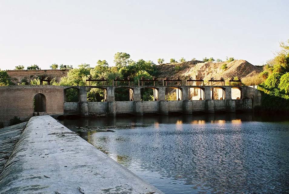 Sotobosque de Gramosilla, La Puebla de Montalbán, Toledo