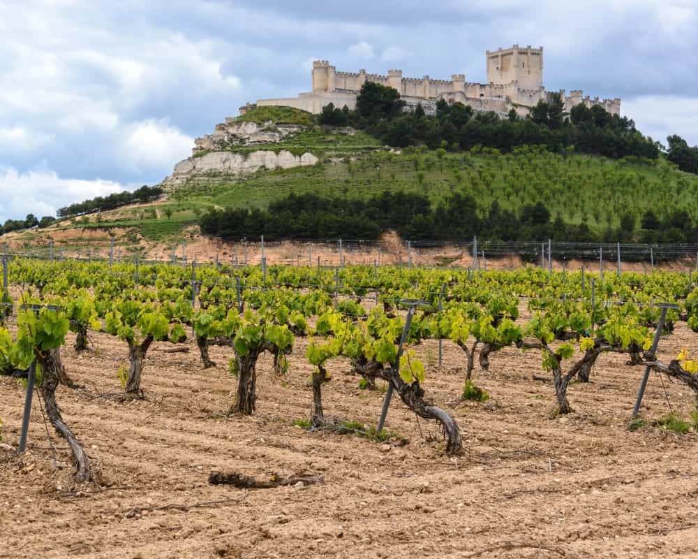 Vista del Castillo de Peñafiel, Valladolid, Pueblos Mágicos de España 