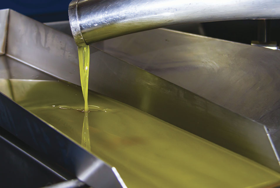 Almazaras de Tabernas (Almería)