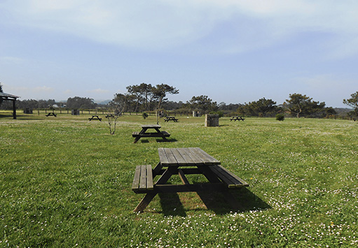 Area recreativa de Salias en Coaña