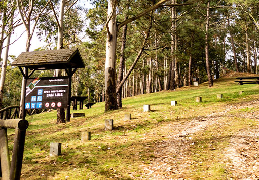 Area recreativa de San Luis
