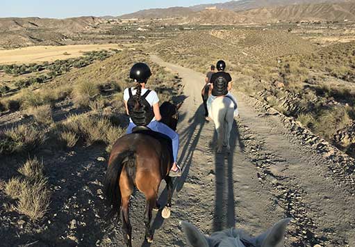 Paseos a caballo por Tabernas (Almería)