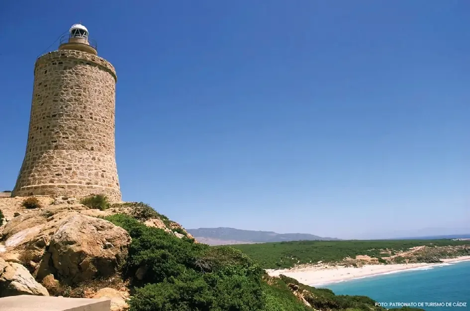 Faro de Camarinal Faro de Camarinal sobre la torre histórica entre pinar y costa