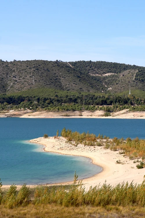 Orilla curva del embalse de Buendía con vegetación