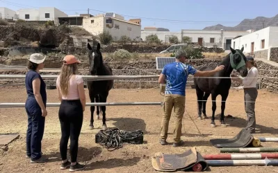 Riendas de Esperanza: caballos, comunidad y otra forma de descubrir Arona